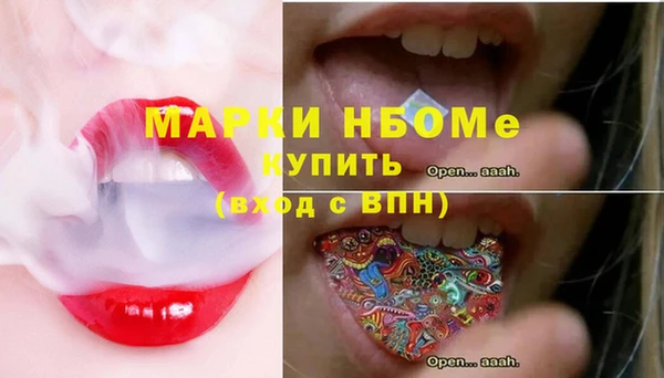 индика Аркадак