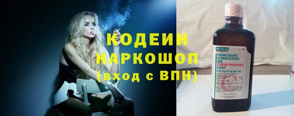 индика Аркадак