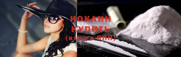 индика Аркадак