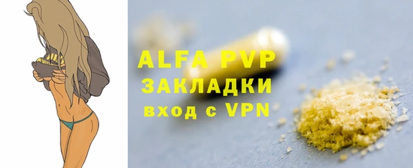 индика Аркадак