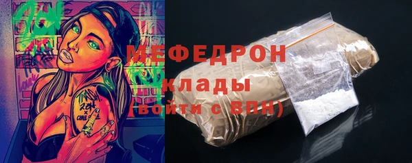 индика Аркадак